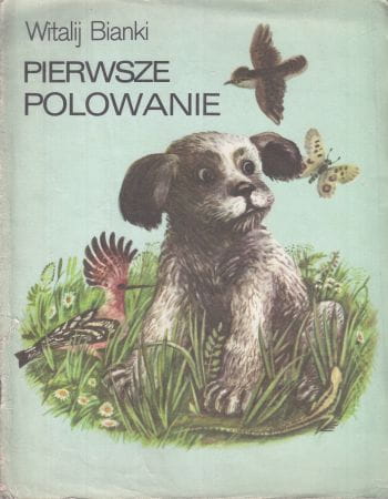 Bianki Witalij - Pierwsze polowanie. Ilustrował W. Kiriłłow.