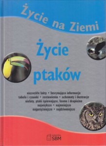 Życie na Ziemi. Życie ptaków.