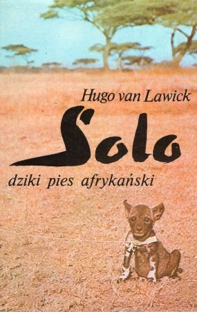 Lawick Hugo van - Solo dziki pies afrykański