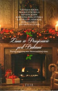 Zima w Pensjonacie pod Bukami. Poczuj magiczną moc bieszczadzkiej zimy.