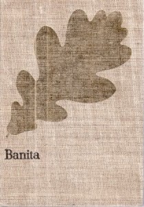 Kraszewski Józef Ignacy - Banita. Czasy Stefana Batorego. /Dzieje Polski/.