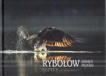 Rybółów. Ginące piękno.jpg