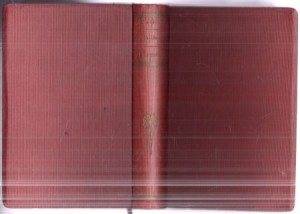 Sienkiewicz Henryk - Pisma. Tom LXXIV. Na Marne. Tom LXXV. Humoreski z teki Worszyłły. Tom LXXVI. Selim Mirza. Czy ci najmilszy?