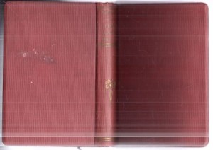 Sienkiewicz Henryk - Pisma. Tom LXXVII. Pisma ulotne 1869-1873. Tom LXXVIII. Pisma ulotne.