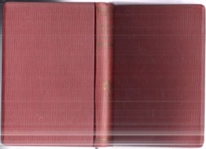 Sienkiewicz Henryk - Pisma. Tom XLVII/XLVIII. Mieszaniny literacko-artystyczne. Część I/II. Z przedmową Ignacego Chrzanowskiego. 