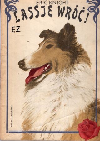 Knight Eric - Lassie wróć! Przełożył Czesław Demiński. Ilustrował Staniskaw Rozwadowski.jpg