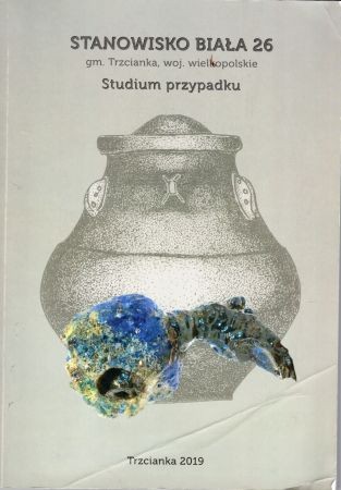 Stanowisko Biała 26 gm. Trzcianka woj. wielkopolskie. Studium przypadku.jpg