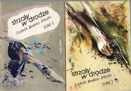 Bronisz-Pikało Ludwik - Strzały w drodze.jpg