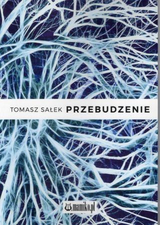 Sałek Tomasz - Przebudzenie.jpg