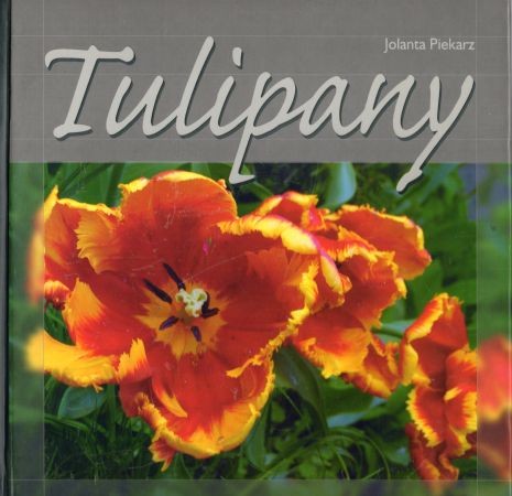 Piekarz Jolanta - Tulipany.jpg