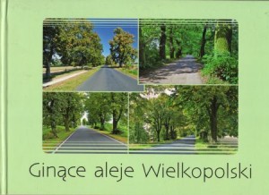 Ginące aleje Wielkopolski. 