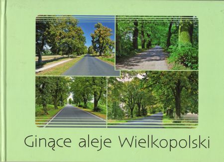 Ginące aleje Wielkopolski.jpg