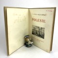 Ossendowski Ferdynand Antoni - Polesie. Cuda Polski.