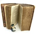 Esrim ve-arba'a sifrei kodesh, sive Biblia Hebraica. [Tanach].