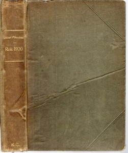 Piłsudski Józef - Rok 1920. Z powodu książki M. Tuchaczewskiego Pochód za Wisłę. Wydanie II z Przedmową Autora i przypisami.