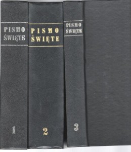 Pismo Święte Starego i Nowego Testamentu. W przekładzie z języków oryginalnych ze wstępami i komentarzami. Tom I/III.