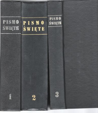 Pismo Święte Starego i Nowego Testamentu. W przekładzie z języków oryginalnych ze wstępami i komentarzami.jpg