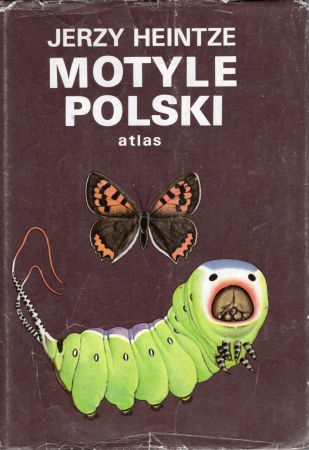 Heintze Jerzy - Motyle Polski. Atlas. Część pierwsza. Ilustrował z natury autor.jpg