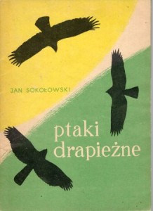Sokołowski Jan - Ptaki drapieżne.