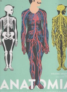 Druvert Helene, Druvert Jean-Claude - Anatomia. Obraz ludzkiego ciała na wyjątkowych ażurowych rycinach.