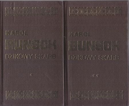 Bunsch Karol - Dzikowy skarb. Powieść z czasów Mieszka I. Powieści Piastowskie.jpg