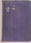 39240419.jpg