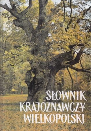 Słownik krajoznawczy Wielkopolski.