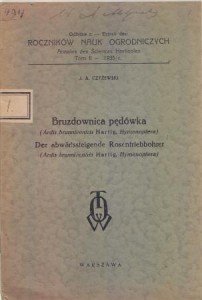 Czyżewski J.A. - Bruzdownica pędówka. (Ardis brunniventris Hartig, Hymenoptera).