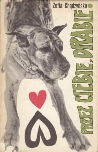 Chądzyńska Zofia - Przez ciebie, drabie!